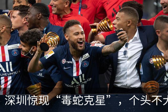 深圳惊现“毒蛇克星”，个头不大却对蛇毒免疫，能捕食眼镜蛇、竹叶青等剧毒蛇