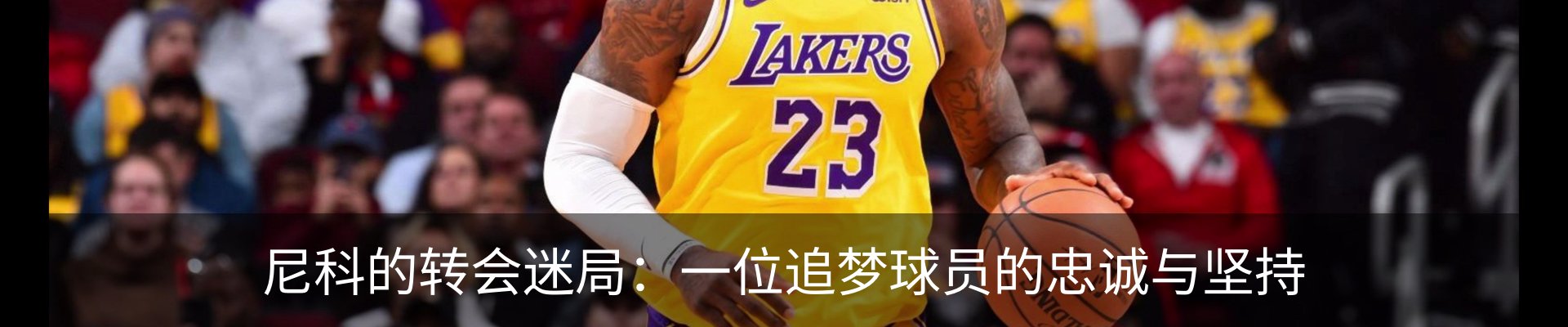 最新动态