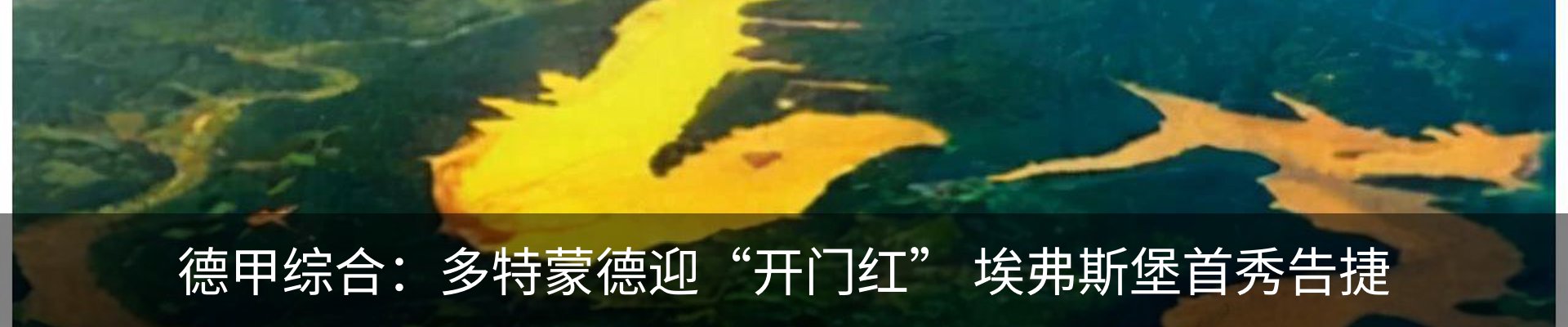 最新动态