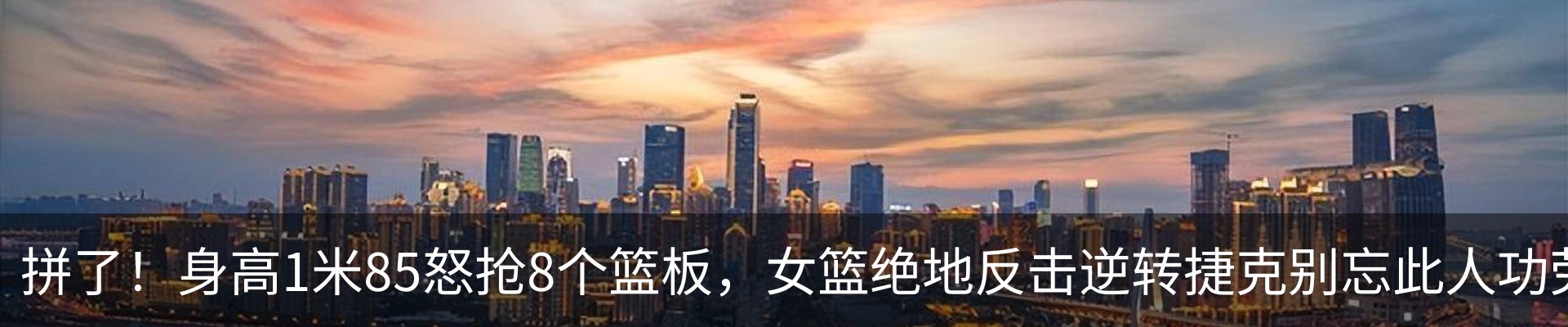 最新动态