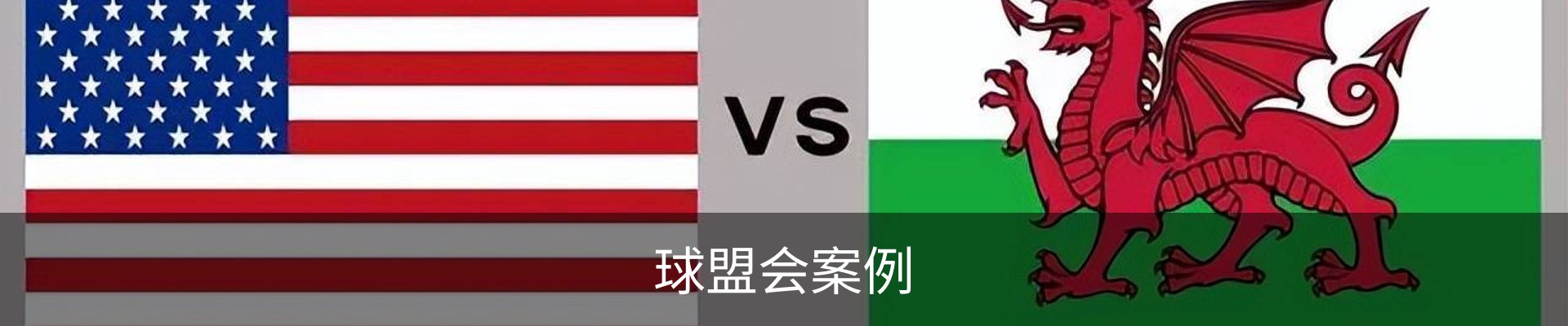 球盟会案例
