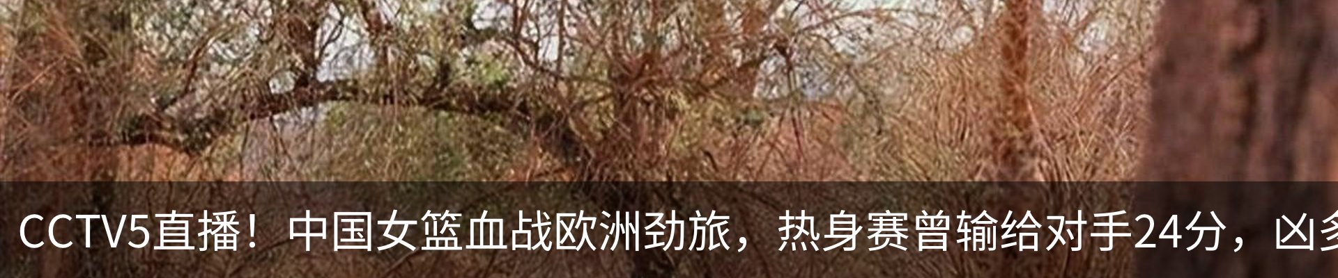 最新动态